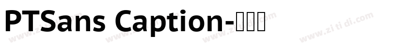 PTSans Caption字体转换